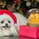 imageUrl_4