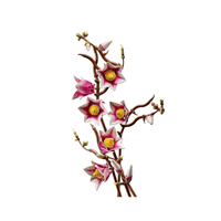 LEGO 11510 Ramas de Magnolia