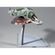imageUrl_5