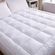 imageUrl_4