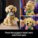 imageUrl_4
