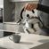 imageUrl_10