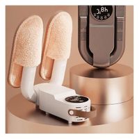 Secador Eléctrico para Zapatos