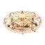 imageUrl_1