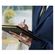 imageUrl_6