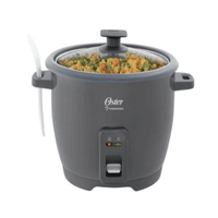 Olla Arrocera Oster CKSTRCB10DFSKE-053 10 Tazas Gris
