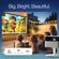 imageUrl_2