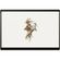 imageUrl_6
