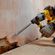 imageUrl_6
