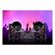 imageUrl_4