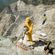 imageUrl_4