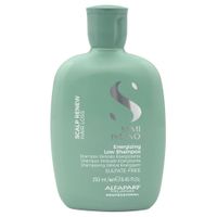 ALFAPARF SEMI DI LINO Scalp Purifying Shampoo 250 ml