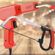 imageUrl_4