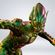 imageUrl_4