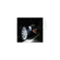 imageUrl_8