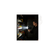 imageUrl_6