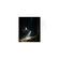 imageUrl_8