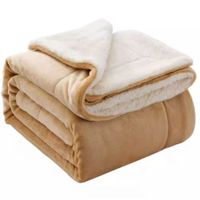 Manta Frazada Polar de Piel 2.3x2m Extra Suave Térmica Dormitorio Hogar 260345