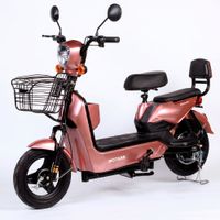 Bicimoto Electric Motare Flash 500W Golden Rose