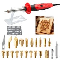 Kit Pirograbador Para Madera Y Cuero 22 Piezas Dual Potencia 20W 40W Profesional