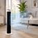 Image-2