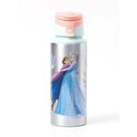 Botella Metalica Frozen