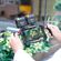 imageUrl_2