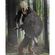 imageUrl_5