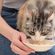 imageUrl_3