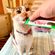 imageUrl_3