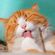 imageUrl_4