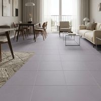 Piso Cerámico Cementicio Oxford Plata 60x60cm 2.50m2 San Lorenzo