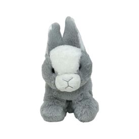 imageUrl_1