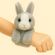 imageUrl_4