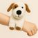 imageUrl_5