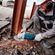 imageUrl_3