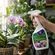 imageUrl_4