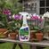 imageUrl_3