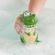 imageUrl_5