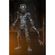 imageUrl_4