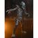 imageUrl_7