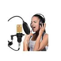 Micrófono Condensador Profesional BM838TZ Usb