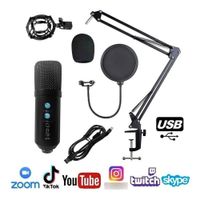 Microfono Condensador Profesional Bm858tz Usb