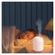 imageUrl_6