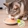 imageUrl_5