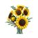 imageUrl_2
