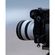 imageUrl_10