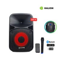 Parlante Portátil Halion RHA-8EB 300W PMPO micrófono UHF