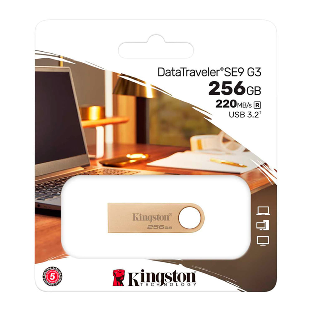 Memoria USB Kingston DataTraveler SE9 G3 256GB USB 3.2 Gen 1 Metálica