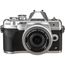 imageUrl_1